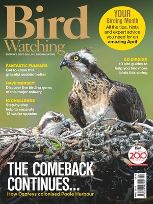 cover image of Bird Watching 